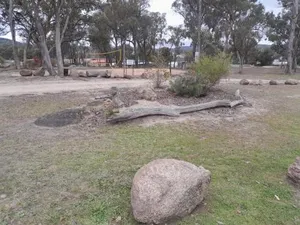 Image of Murray Gardens Motel