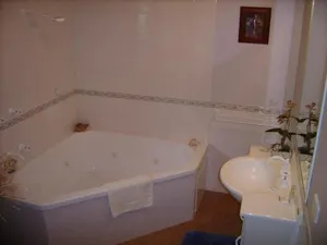 Image of Shady Brook Cottages