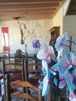 Image of Vignobles Fabris