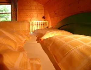Image of Appartement Ramsau, Haus Fichte