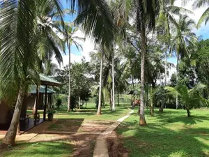 Image of Yonan River Face Safari Resort
