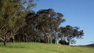 Image of Dragonfly Cottages