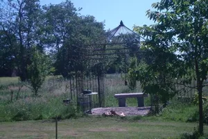 Image of B&B De Lotus