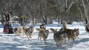 Image of Gundy Lodge