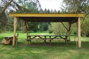 Image of Levaltipis