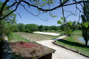 Image of Chateau Beau Site