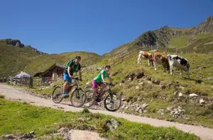 Image of Landhaus Zillertal