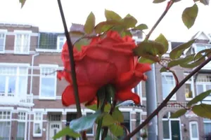 Image of Arnhem Studios