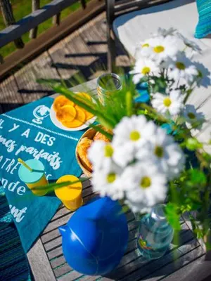 Image of noct enbulle