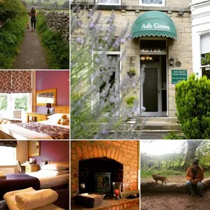 Image of Ash Grove - Guest house