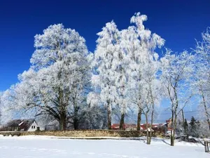 Image of Ferienwohnung Ahorn