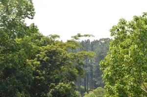 Image of Rowinrich Cottages