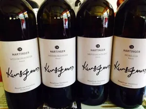 Image of Villa Clar im Park Therme Weingut Hartinger