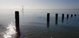 Image of Avon Manor Guest House