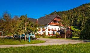 Image of Waschlgut