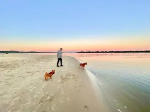 Image of Two Apartments SALT & SAND at Lazy Days on Shaws Bay - 150m to Shaws Bay