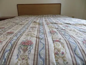 Image of Madison Suites Motel