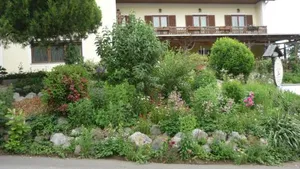 Image of GÄstehaus Raab