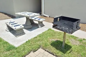 Image of Sunswept 419