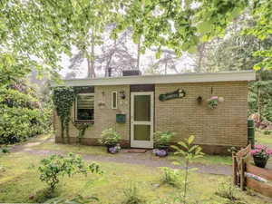 Image of Holiday home near the forest in Ommen with pool