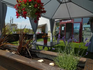 Image of Camping le Camarguais
