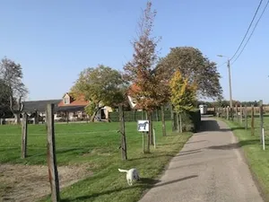 Image of De Blauwe Maaten