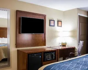 Image of Comfort Inn Jamaica Downtown