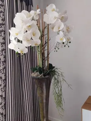 Image of Blumen(t)raum - Ferienwohnung in Karlsruhe