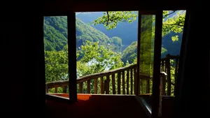 Image of Hêtre sous le Charme