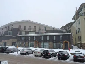 Image of Molony's 14 AMS Mt Buller
