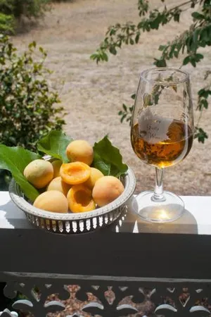 Image of Whiskey Gully Wines