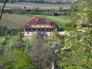 Image of Pension Rudi - Weingut Kellner