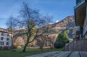 Image of Chamois Blanc Terrasse