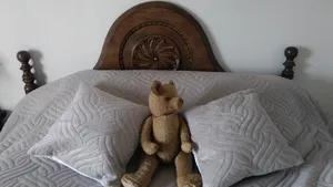 Image of Le Chamois