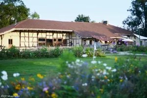 Image of Domaine Des Brouilles