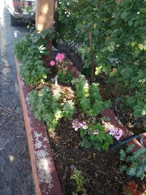 Image of The Charin Inn