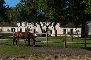 Image of Les Cinq Sens du Chateau Mayne Lalande