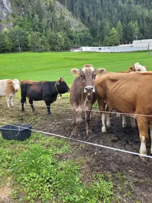 Image of Ferienhof Bichlhof