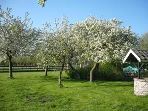 Image of Shepherds House B&B