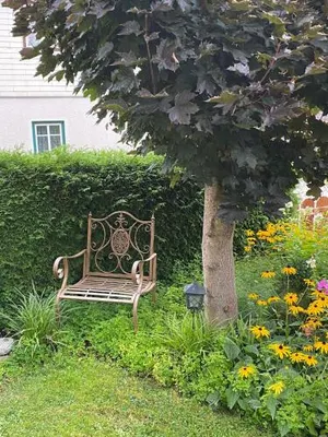 Image of Landhaus Tippl