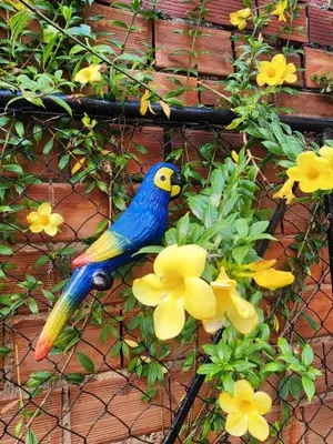 Image of Condomínio Center luz