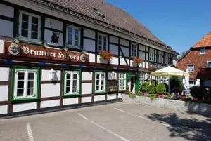 Image of Brauner Hirsch