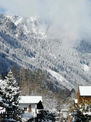 Image of Appartement Geisler