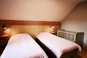 Image of Maison Violette