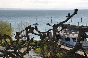 Image of Gasthaus Schiff