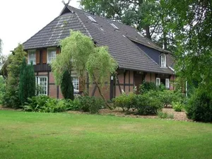 Image of Drei Linden