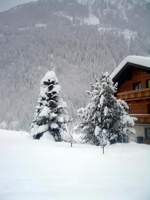 Image of Haus Veidlis, Familie Obkircher