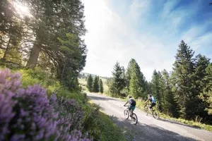 Image of Appart Gitti