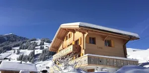 Image of Chalet Butterfly