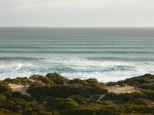 Image of Big Blue Backyard